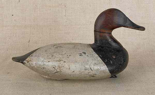 Appraisal: Carved and painted canvasback duck decoy ca attributed to Ben