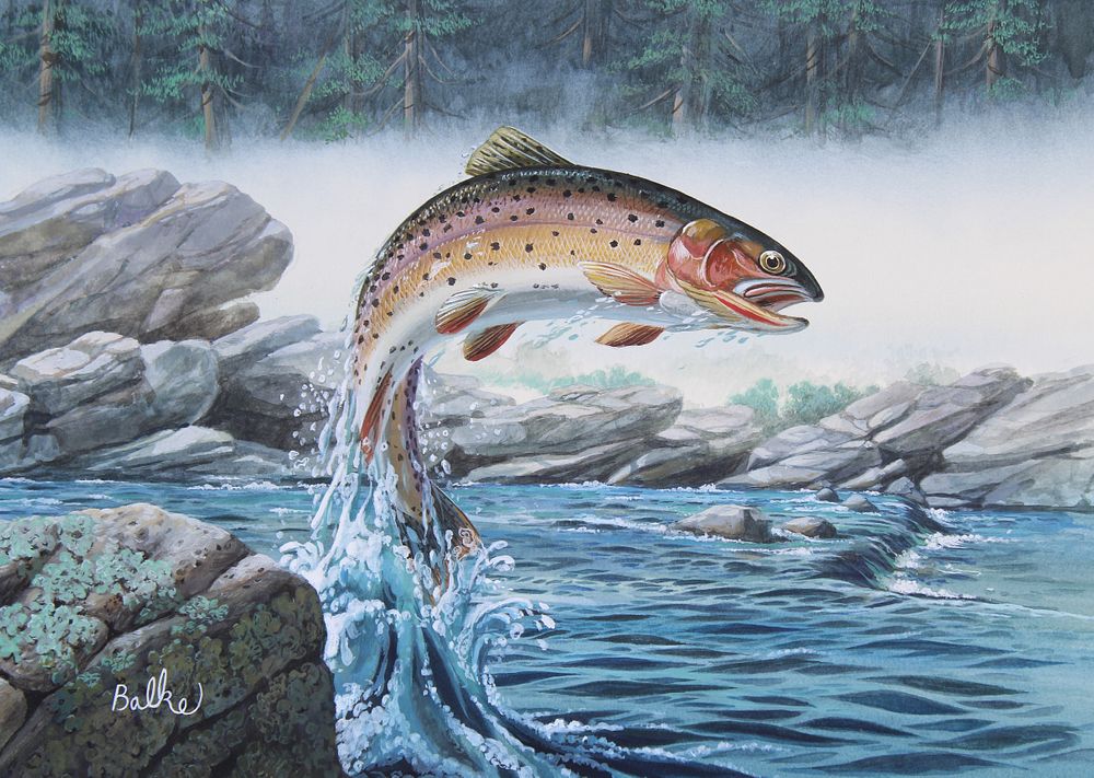 Appraisal: Don Balke B Cutthroat Trout Don Balke B America's State