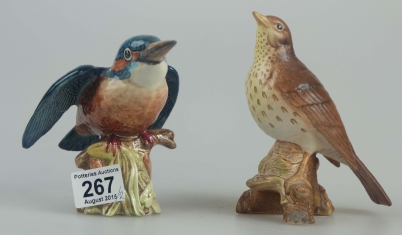 Appraisal: Beswick Thrush matte and Kingfisher