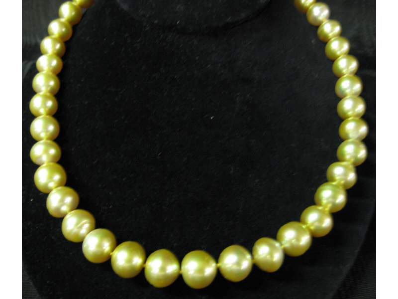 Appraisal: GOLDEN SOUTH SEA PEARLS Semi-round pearls with light gold color