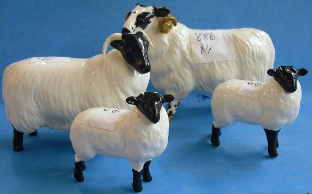 Appraisal: Beswick Black Faced Ram x Black Faced Lamb Black Faced