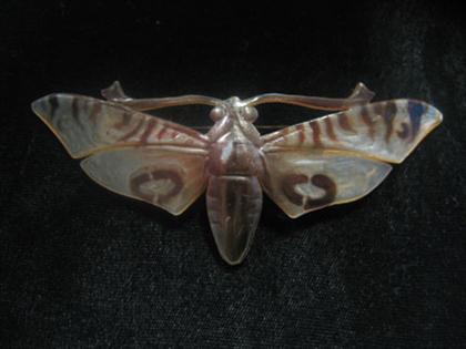 Appraisal: Horn moth brooch Carved horn brooch in moth form and