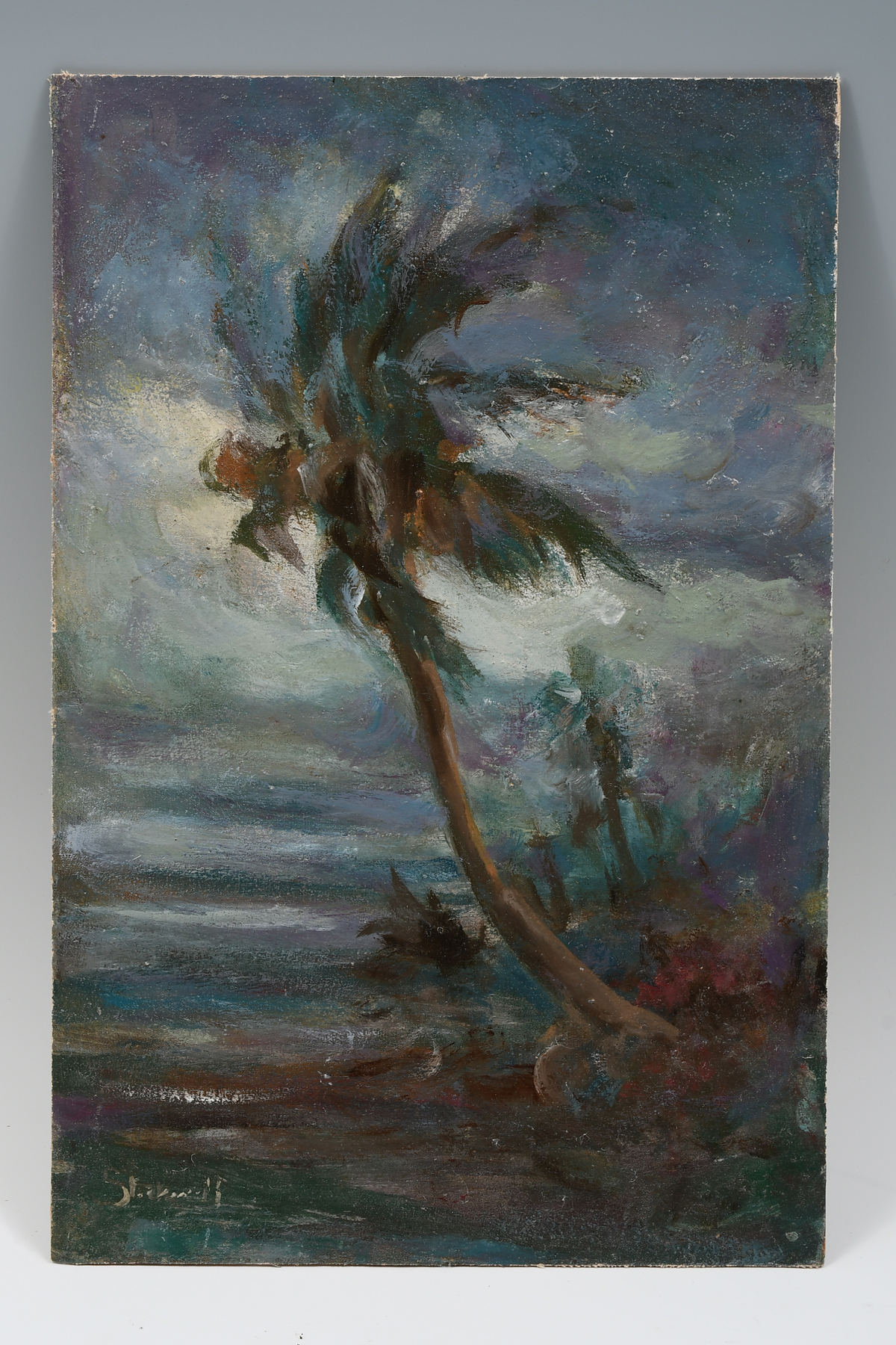 Appraisal: STOCKWELL Catherine Haynes American - Stormy Florida Shoreline with Palm