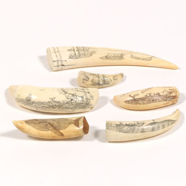 Appraisal: GROUP OF CARVED SCRIMSHAW Six pieces of carved scrimshaw ranging