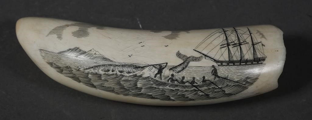 Appraisal: SCRIMSHAW WHALE TOOTH WHALING SHIPAntique authentic sperm whale tooth with