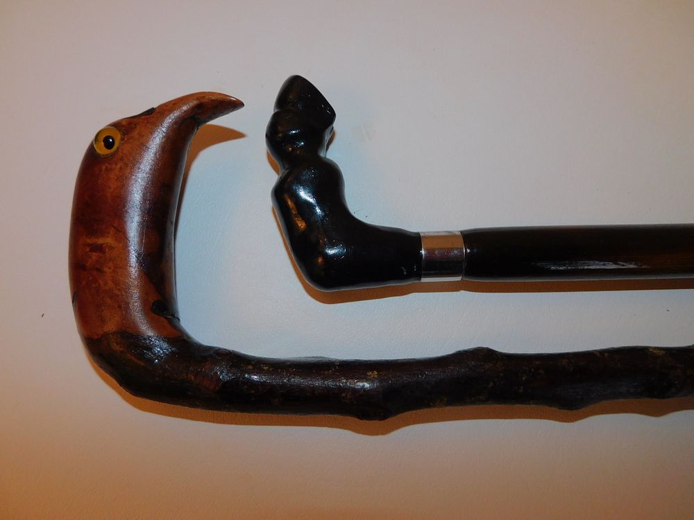 Appraisal: ANTIQUE CANES HORSE LEG BIRD HEAD old carved wood canes