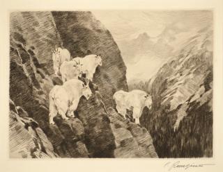 Appraisal: Carl Rungius Goats Carl Rungius Goats etching on paper inches