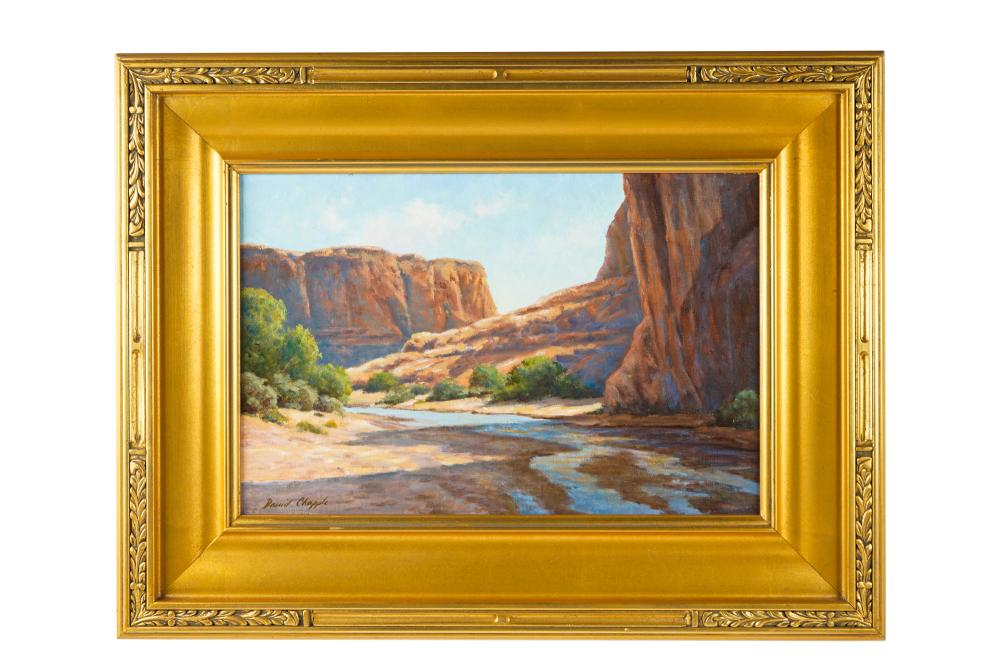 Appraisal: DAVID CHAPPLE CANYON DE CHELLY oil on canvas board signed