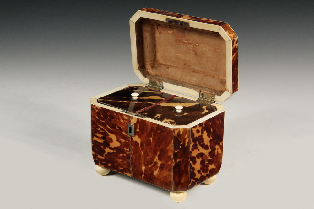 Appraisal: TEA CADDY - English Regency Blonde Tortoiseshell Caddy with three