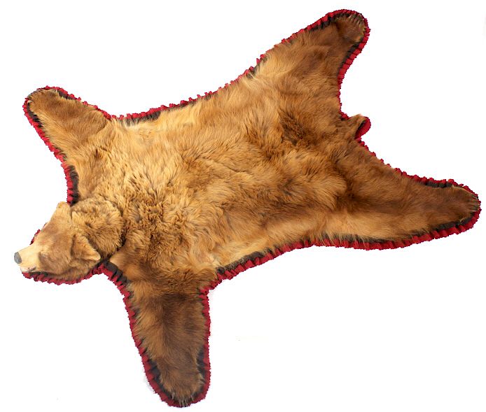 Appraisal: Montana Cinnamon Black Bear Taxidermy Trophy Rug Included for bidding