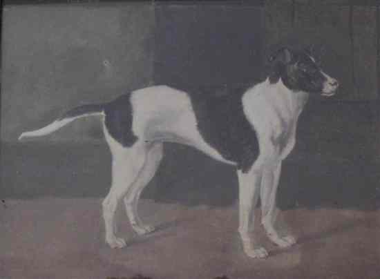 Appraisal: th C English School watercolour Miniature of a hound x