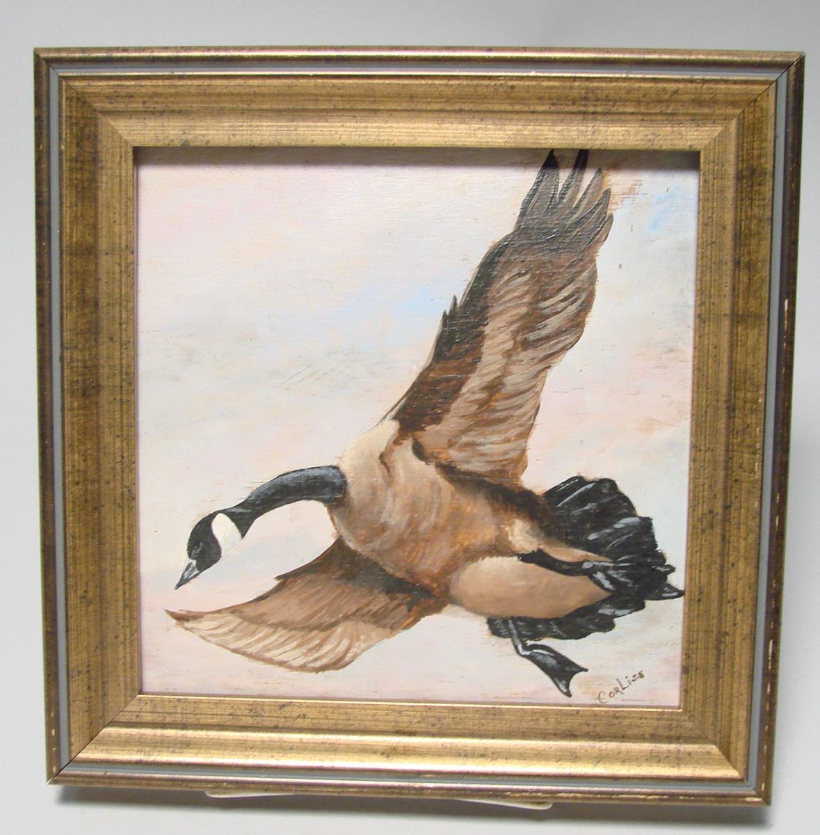 Appraisal: FRAMED PAINTING Canada goose coming in Signed lower right Corliss