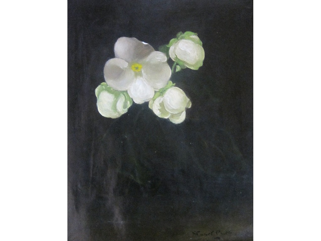 Appraisal: JAMES STUART PARK - Oil on canvas 'Philadelphus' x