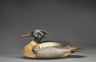 Appraisal: Red-Breasted Merganser DrakeWilliam Gibian b Onancock VA Signed by the