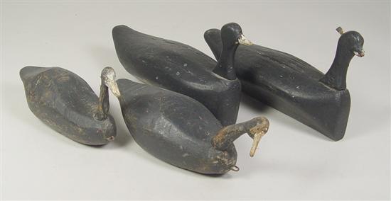 Appraisal: Four Primitive Coot Duck Decoys Old black paint Some repairs