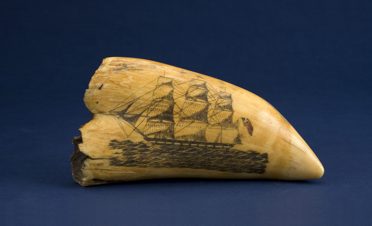 Appraisal: SCRIMSHAW WHALE'S TOOTH DEPICTING A BRITISH WHALESHIP AT SEA Depicted