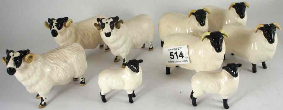 Appraisal: Beswick Sheep Collection to include Black Faced Ram x Gloss