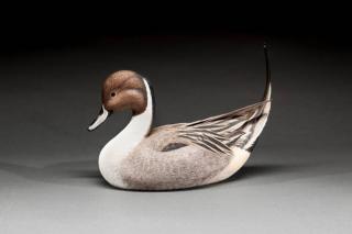 Appraisal: Pintail Drake Randy Tull b Hayward WI An exceptionally executed