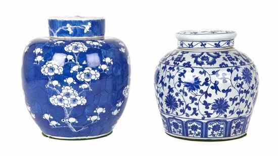 Appraisal: Two Chinese Porcelain Ginger Jars having blue on white decoration