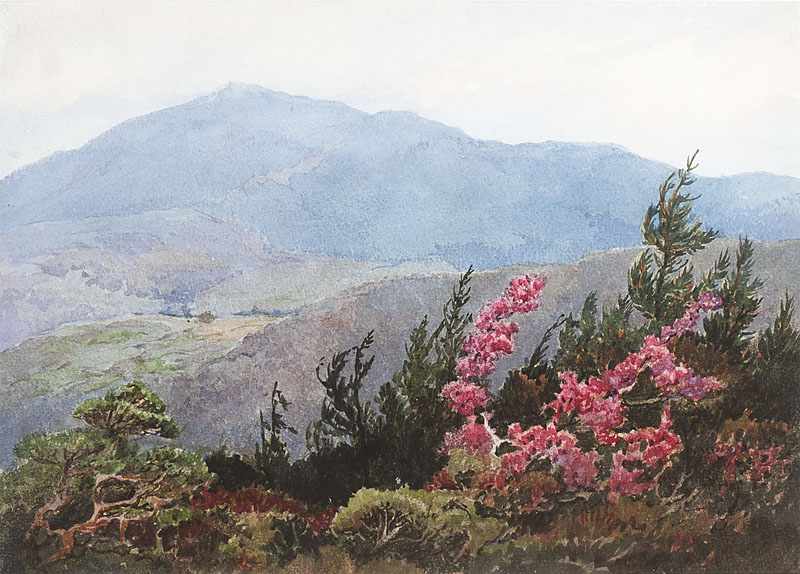 Appraisal: Albert Thomas De Rome - Carmel CA Mountain Landscape with