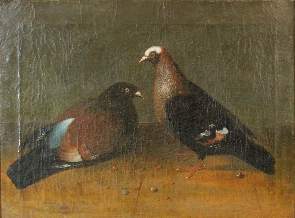 Appraisal: ENGLISH SCHOOL TH CENTURY A PAIR OF CARRIER PIGEONS Oil