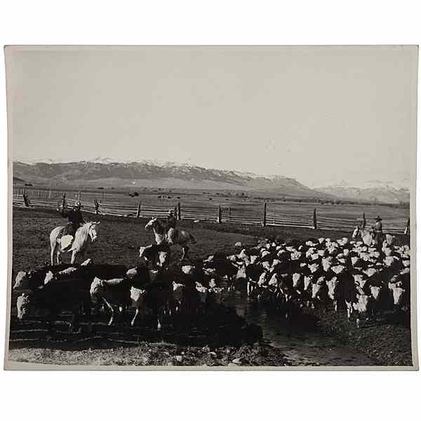 Appraisal: Charles J Belden Photograph of Cowboys Rounding Up Cattle Silver