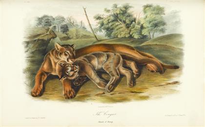 Appraisal: vols Audubon John James Bachman John The Quadrupeds of North