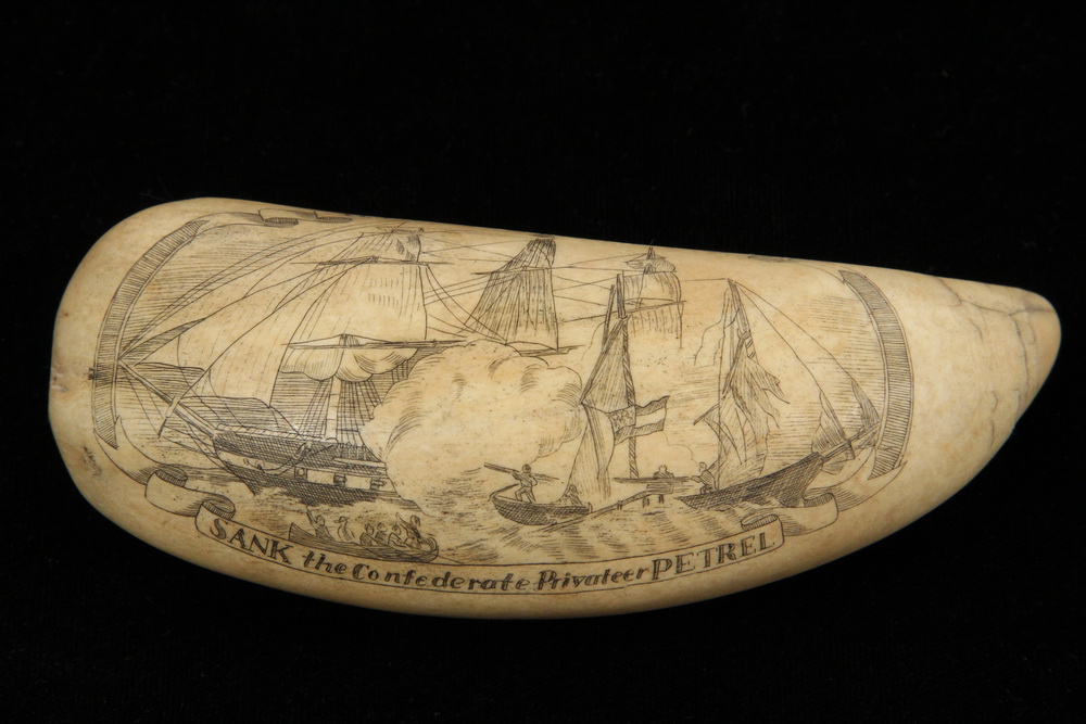 Appraisal: SCRIMSHAWN WHALES TOOTH - USS St Lawrence sank the Confederate