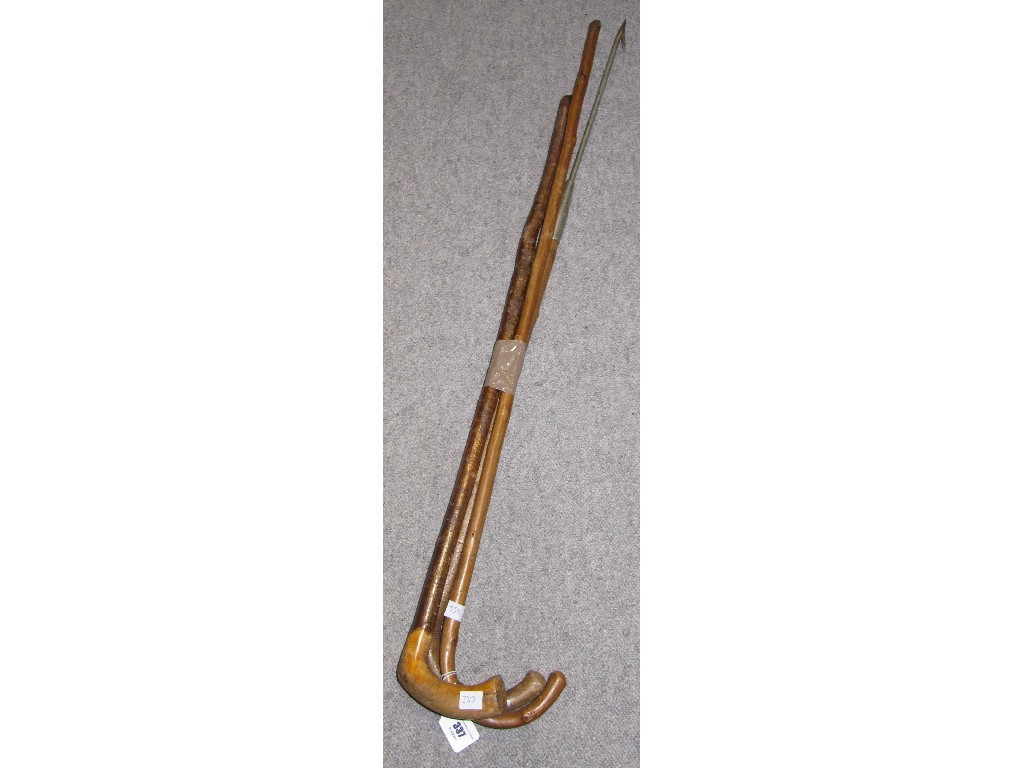 Appraisal: Lot comprising two walking sticks and a poacher's fishing stick