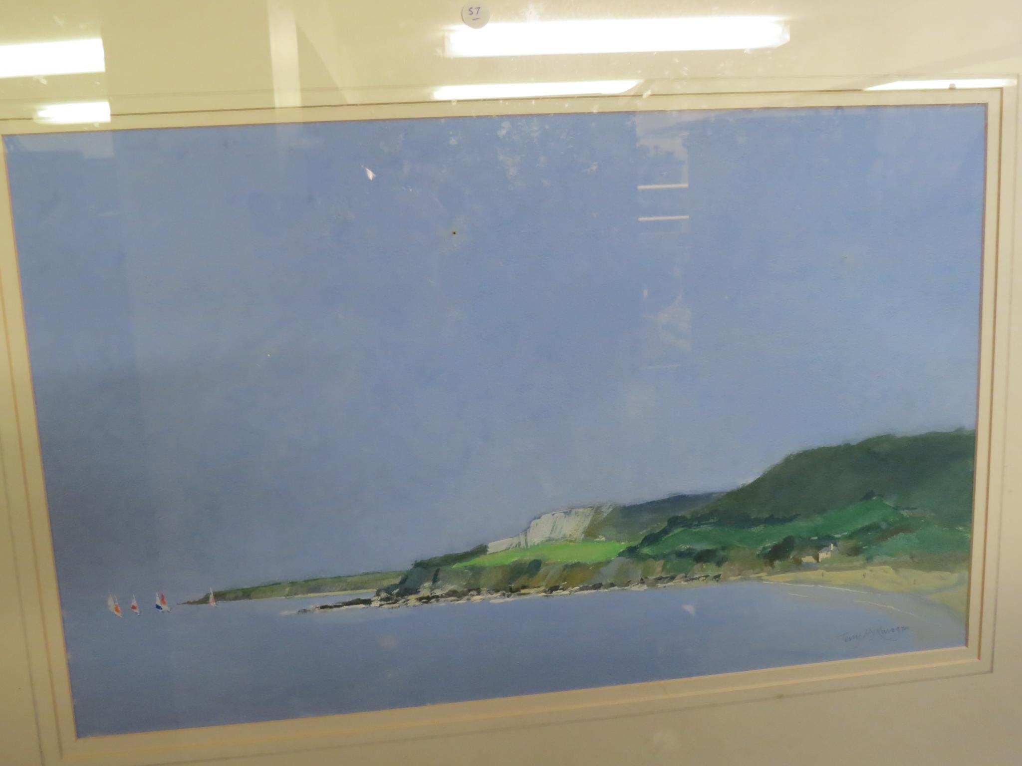 Appraisal: Terry McKwagan - watercolour Devon coast signed in pencil x