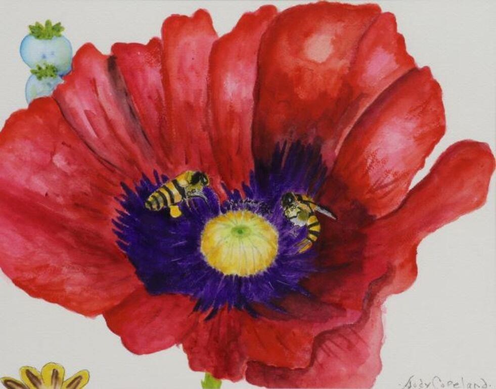 Appraisal: Framed watercolor painting on paper Red Poppy signed lower right