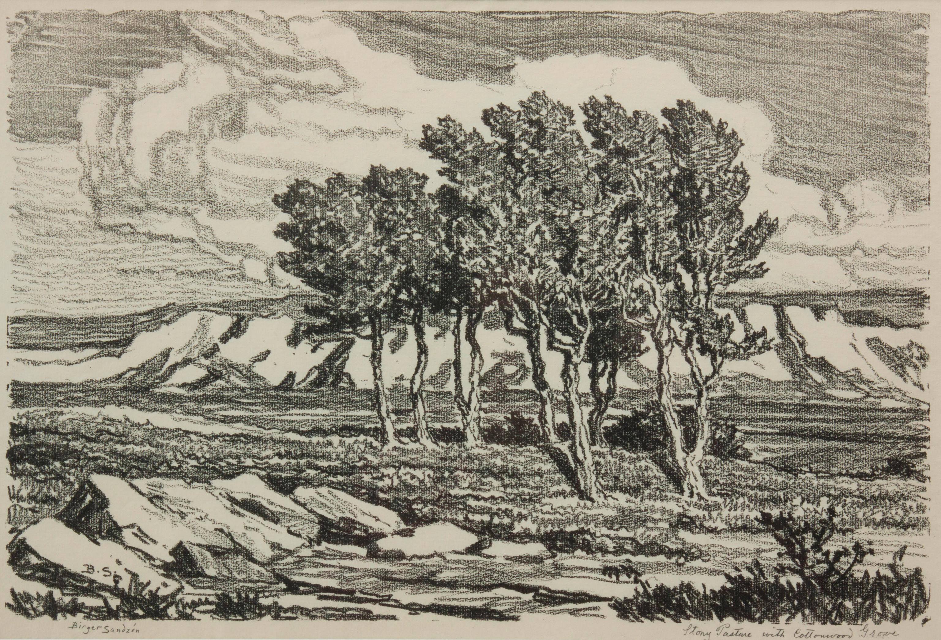 Appraisal: BIRGER SANDZEN 'STONY PASTURE WITH COTTONWOOD GROVE' LITHO Birger Sandzen