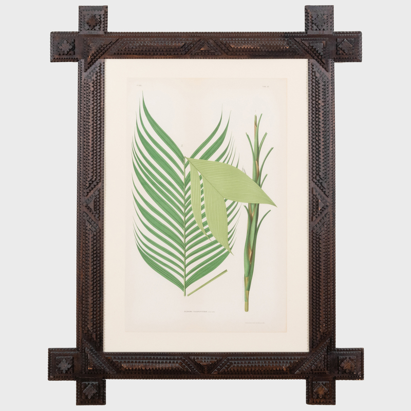 Appraisal: J GOFFIN FILS PUBLISHERS PALM FRONDS TWO PLATES Two chromolithographs