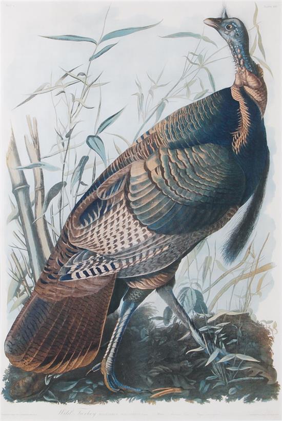 Appraisal: John James Audubon after New York - WILD TURKEY Bien