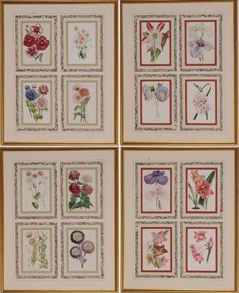 Appraisal: Sixteen Framed Botanical Prints x in sight