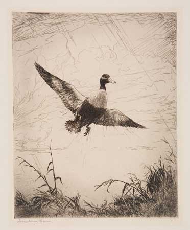 Appraisal: FRANK W BENSON Shoveller Drake Etching x mm x inches