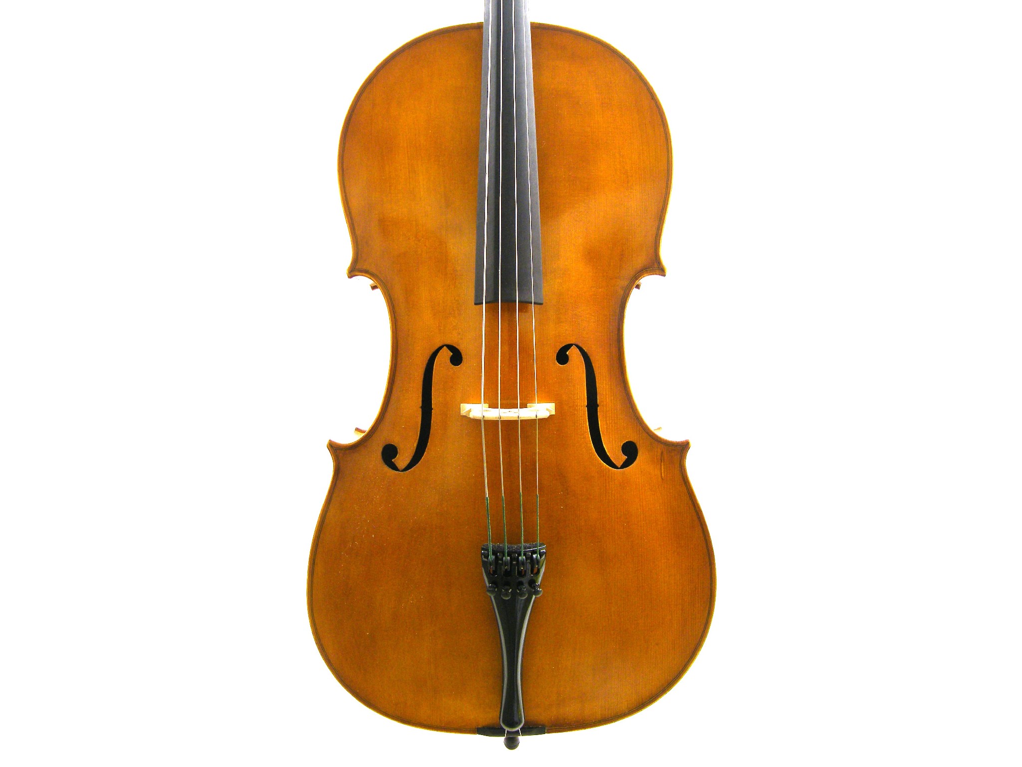 Appraisal: Contemporary violoncello labelled Mario Bedocchi cm