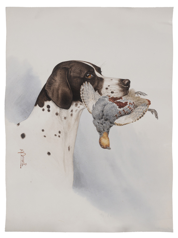 Appraisal: Boris Riab French Russian - English Pointer with a Quail