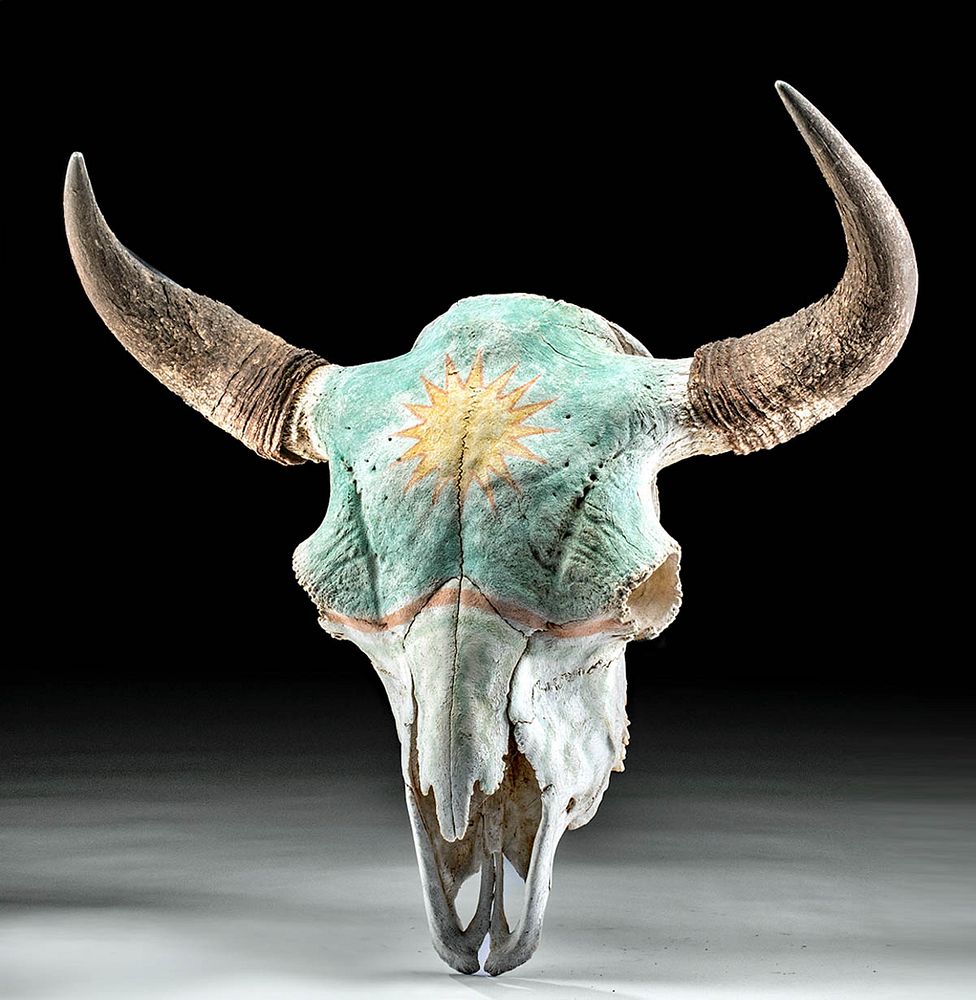 Appraisal: th C SW Painted Bull Skull w Horns - Sun