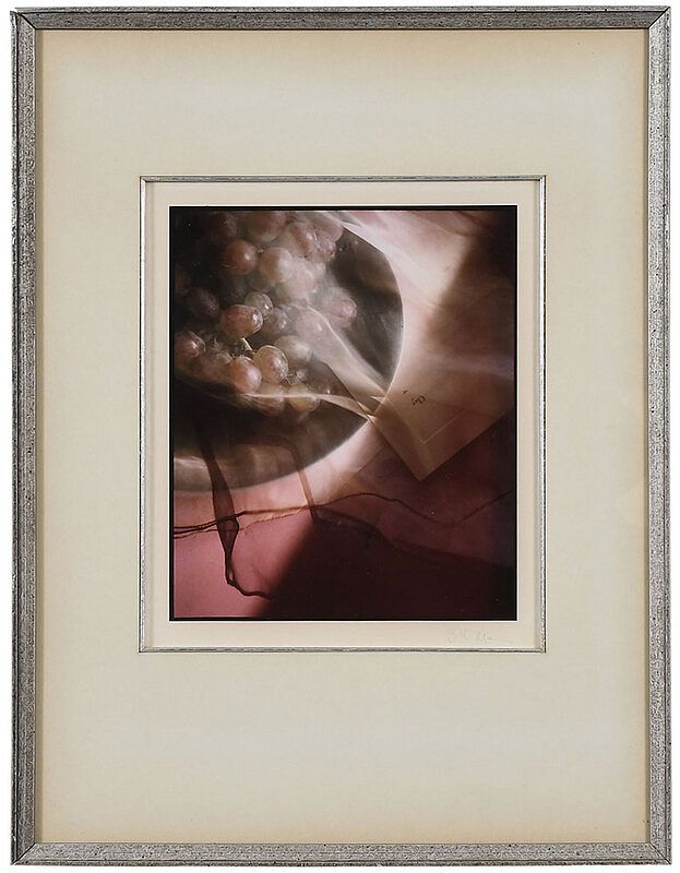 Appraisal: Sally Mann American born Experimental Still Life signed margin lower