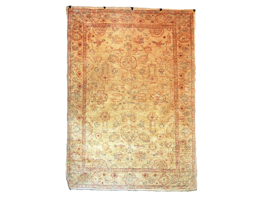 Appraisal: Afghan Pakistan 'Frontier-Ziegler' Chobi small carpet modern