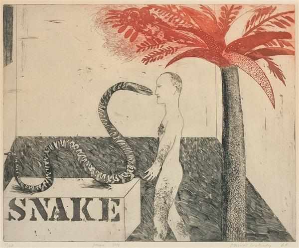 Appraisal: DAVID HOCKNEY American b ''Jungle Boy'' color etching of S