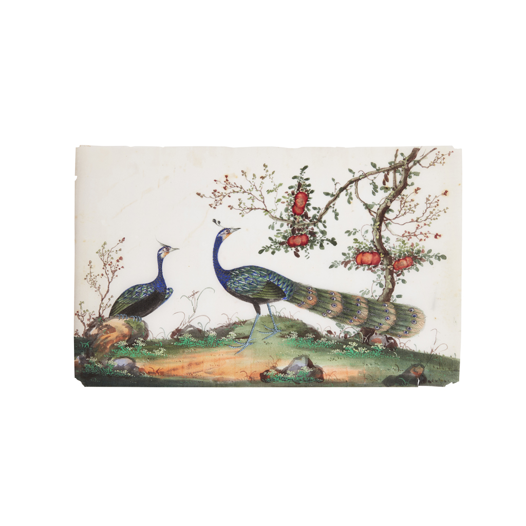 Appraisal: ALBUM OF TWELVE RICE PAPER PAINTINGS OF BIRDS AND FLOWERS