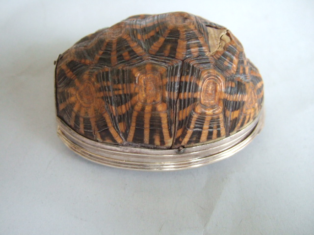 Appraisal: A silver mounted terrapin shell large snuff box the hinged