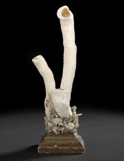 Appraisal: Unusual White Pipe Coral and Seashell Garniture first quarter th