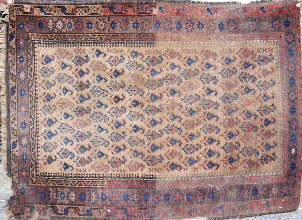 Appraisal: Two antique rugs Baluchistan x and Caucasian x Losses along