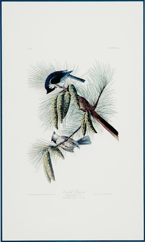 Appraisal: John James Audubon after New York - FOUR WORKS SOLITARY