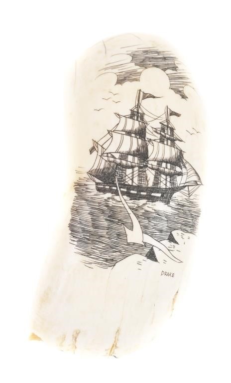 Appraisal: Authentic whale tooth with scrimshaw signed Drake Measures about long