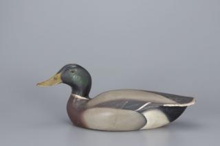 Appraisal: Classic Mallard Drake The Ward Brothers Classic Mallard Drake The