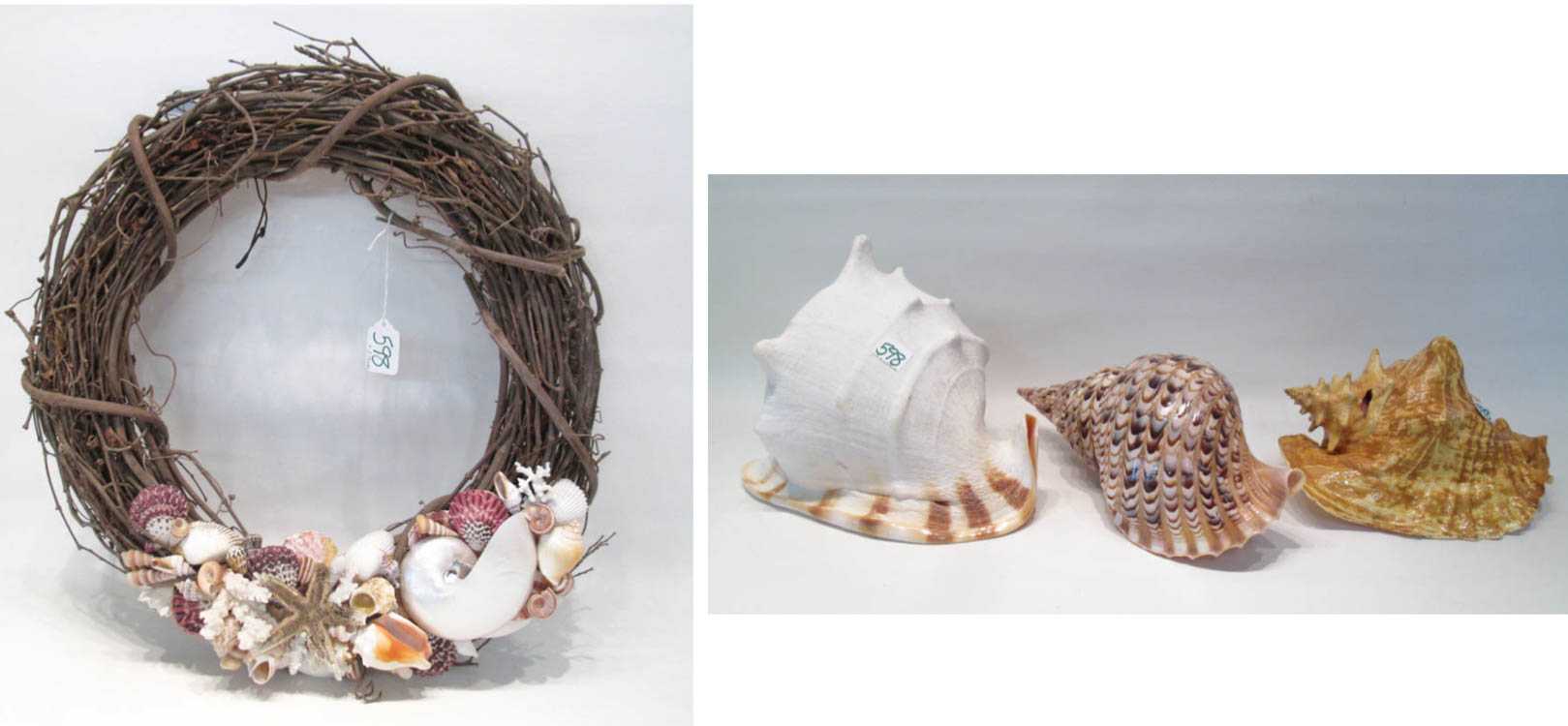 Appraisal: THREE LARGE CONCH SHELLS AND SHELL ADORNED WREATH including cockle